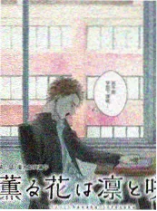 新上架校园甜宠现言《不期而遇的夏天》封面
